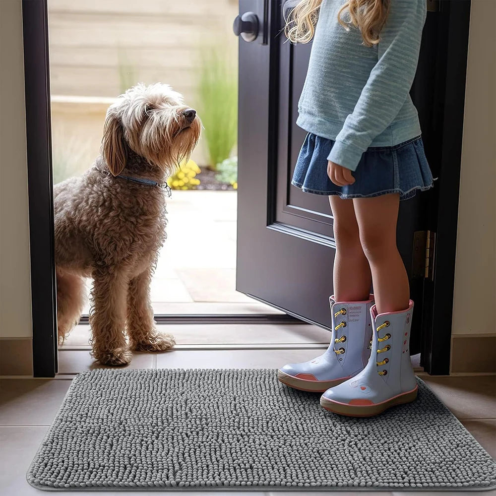 Anti-Mud Dog Door Mat